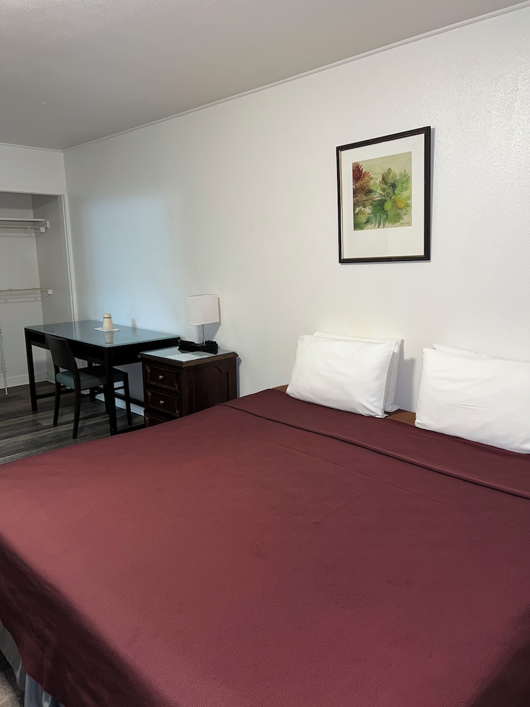 Tip Top Motel Cafe & Bakery - photo 12