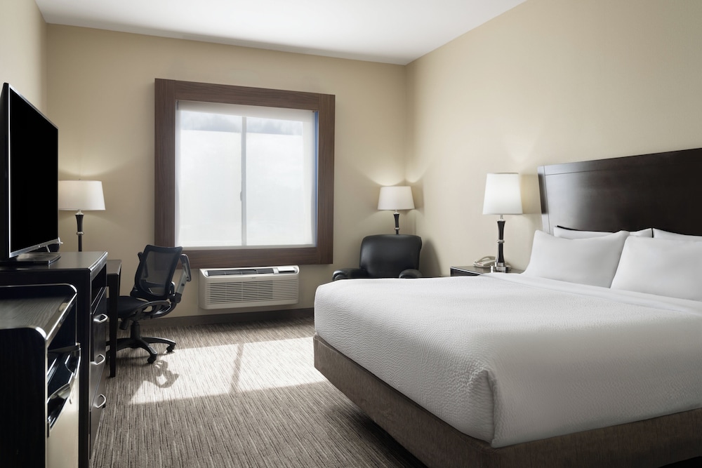 Holiday Inn Express &Suites Snyder by IHG - photo 13