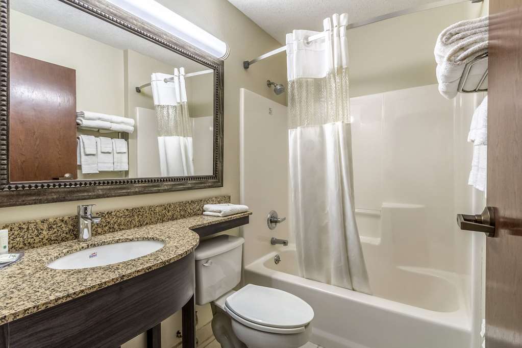 Quality Inn & Suites North Lima Boardman - photo 27