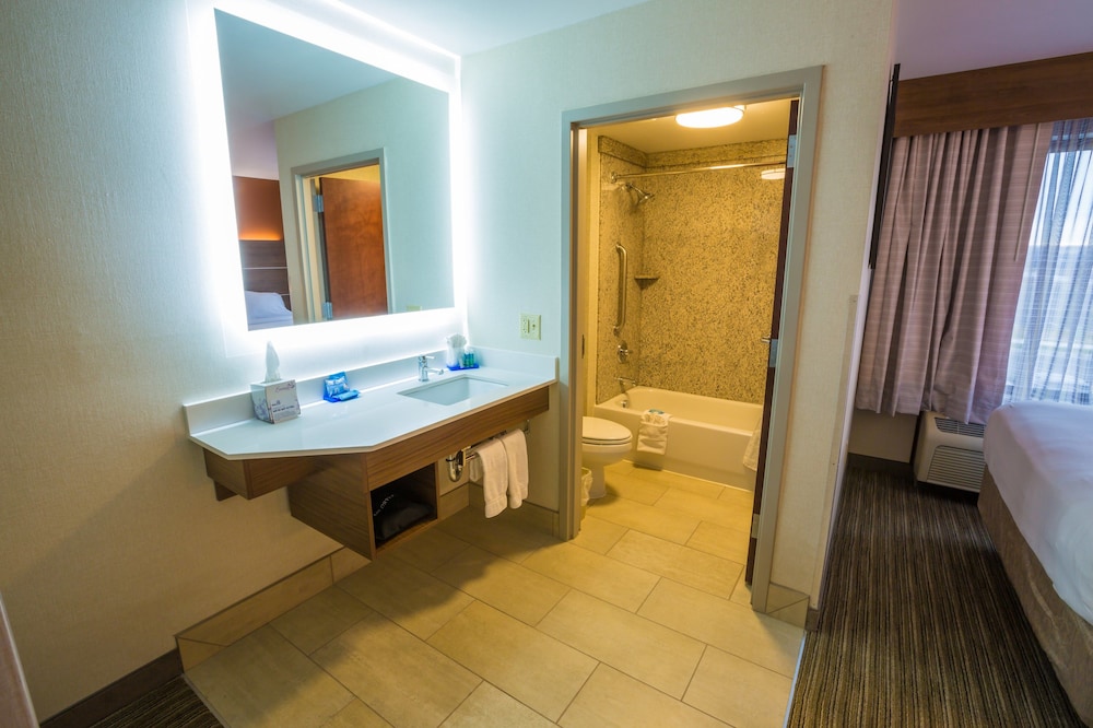 Holiday Inn Express Hotel & Suites Pasco Tri Cities by IHG - photo 17