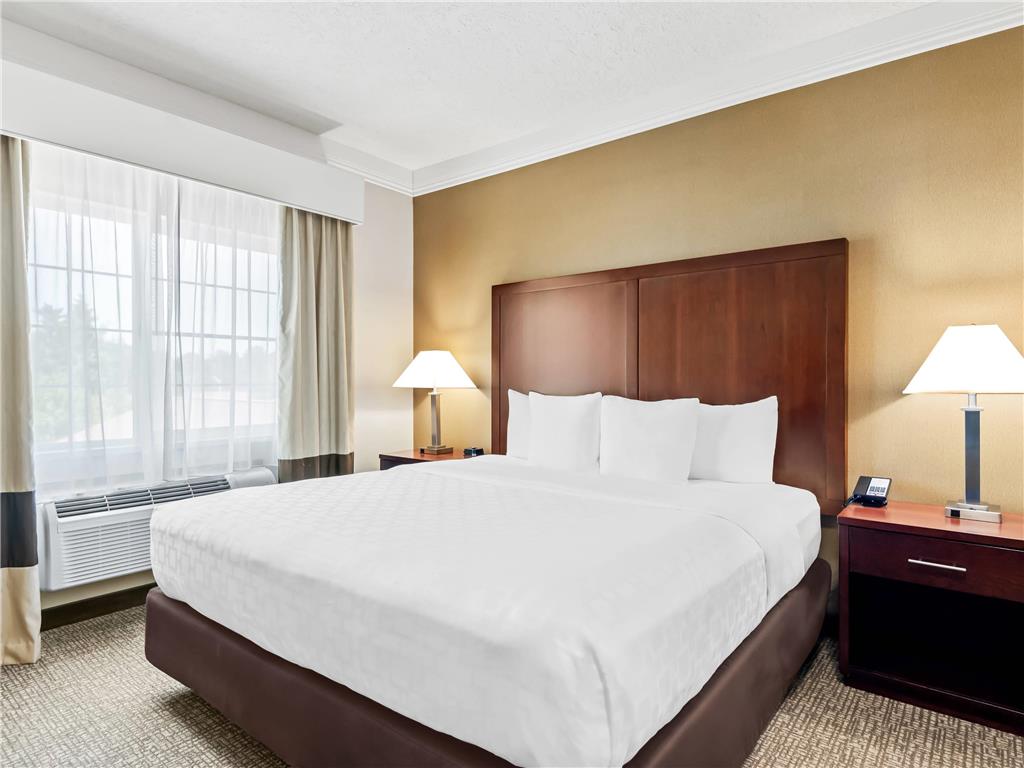 Comfort Suites Linn County - photo 42