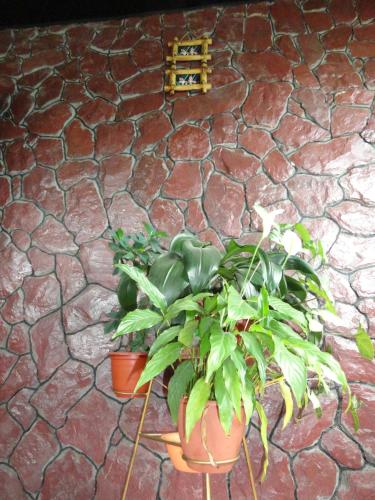 Hotel Poseidon in Mayma, Russia