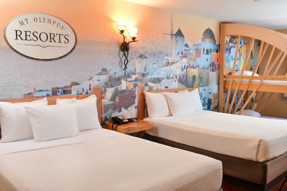 Mt. Olympus Water & Theme Park Resort - photo 7