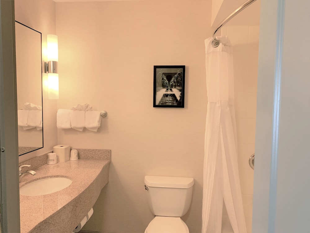 Hilton Garden Inn Albany Medical Center - photo 29