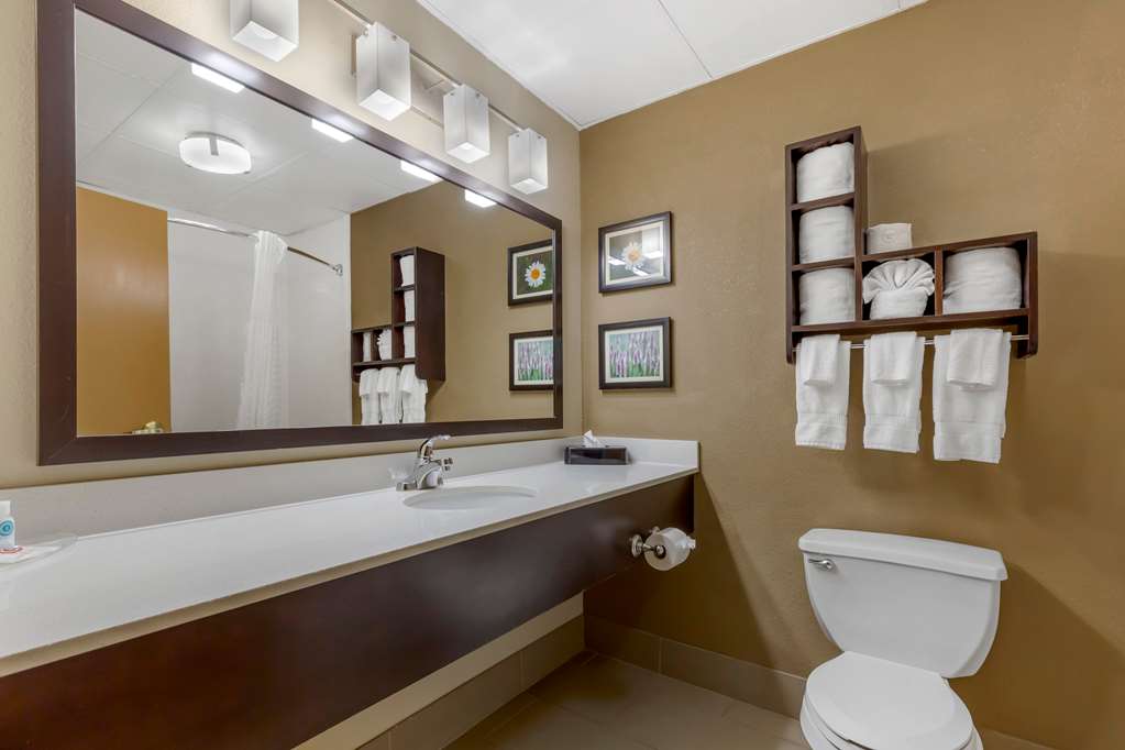 Comfort Suites Regency Park - photo 11