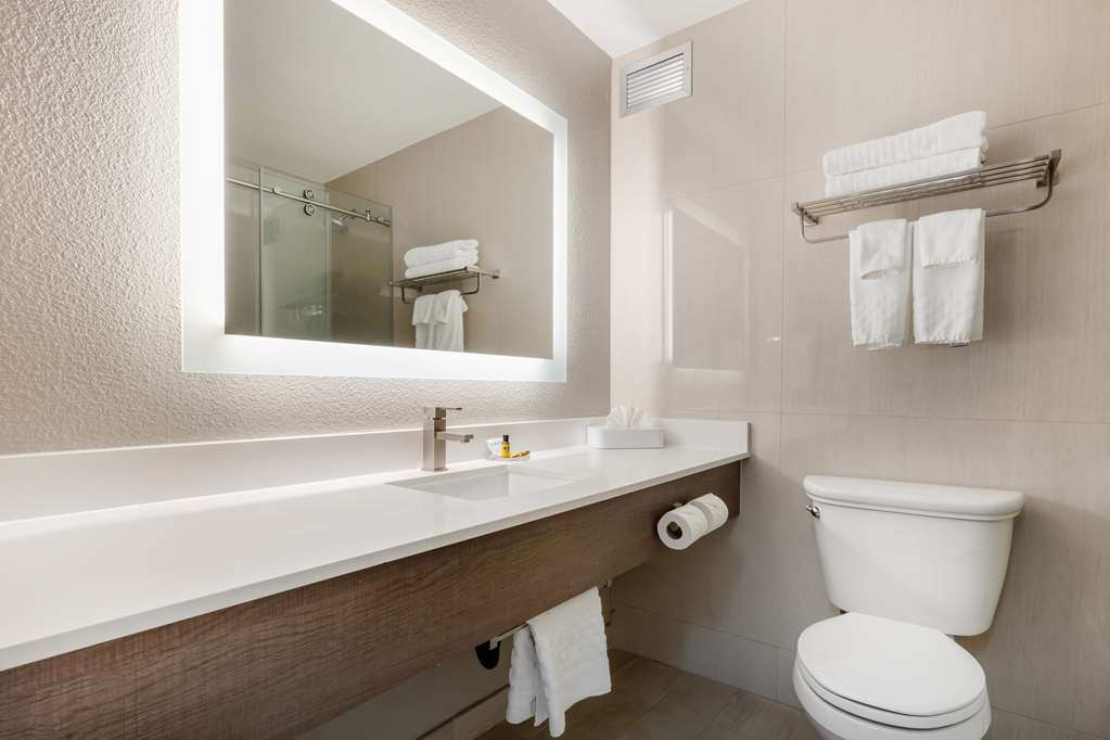 Best Western Plus Sparks Reno Hotel - photo 28
