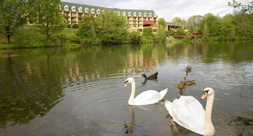Chateau Resort & Conference Center - photo 39