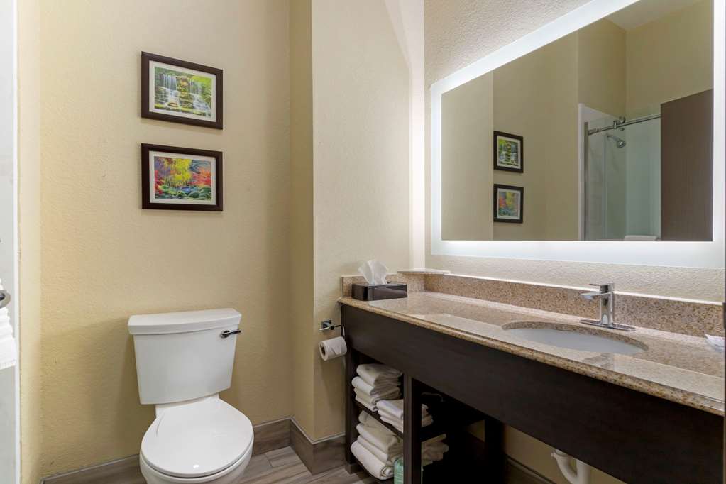 Comfort Suites Kingwood Houston North - photo 22