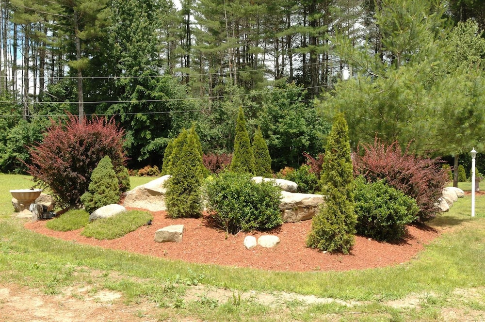 Saco River Motor Lodge & Suites - photo 26