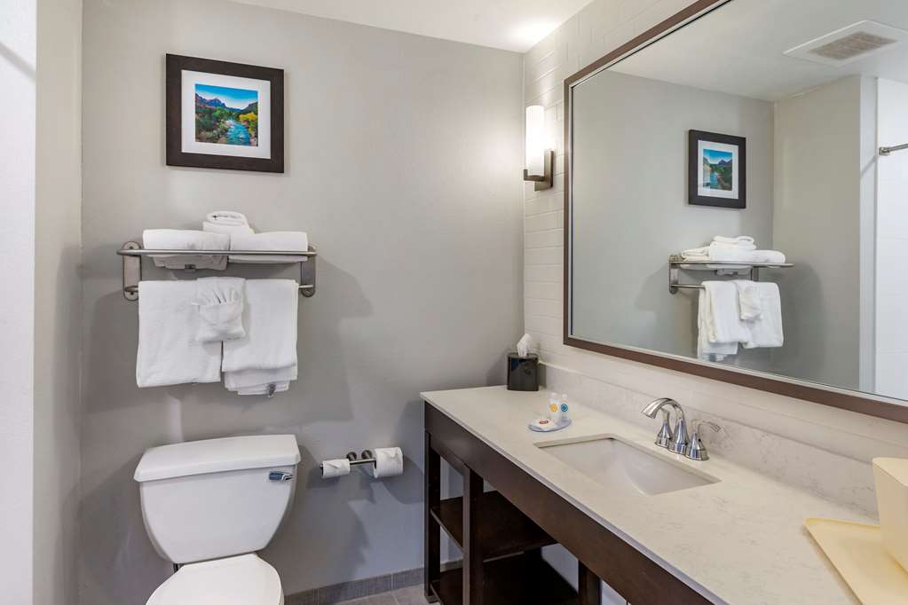 Comfort Inn & Suites Salt Lake City Airport - photo 62