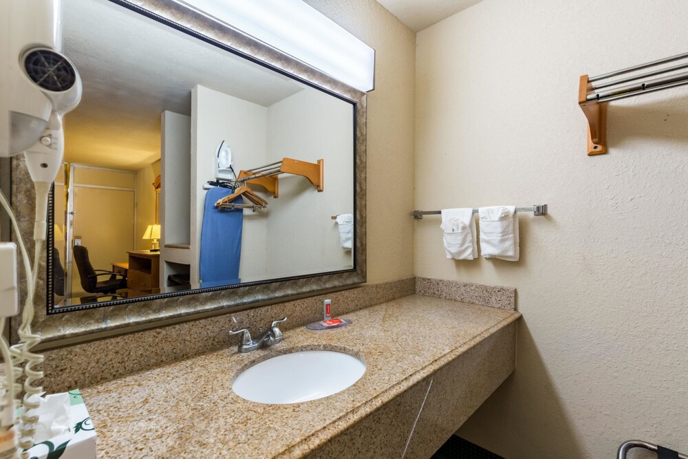 Eco Inn Suites by Hotel O Baytown - photo 10