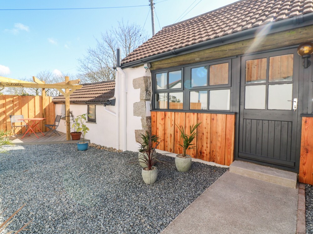 Toadstools in Helston, United Kingdom