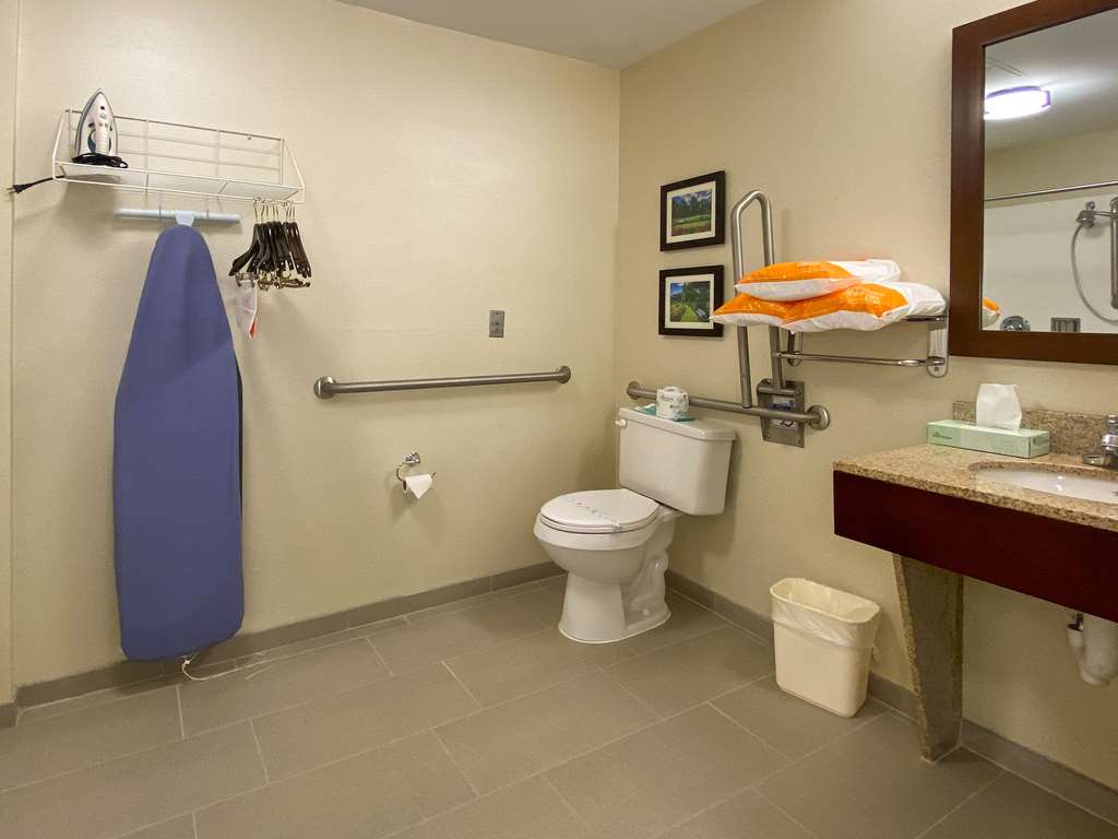 Comfort Inn East Windsor Springfield - photo 23