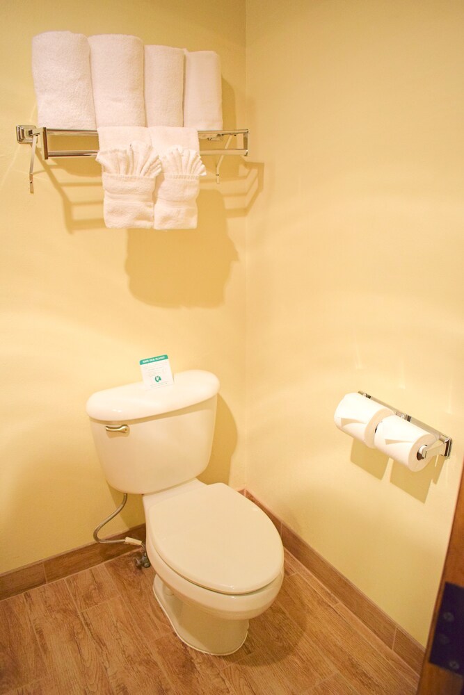 Best Western Wichita North Hotel and Suites - photo 34