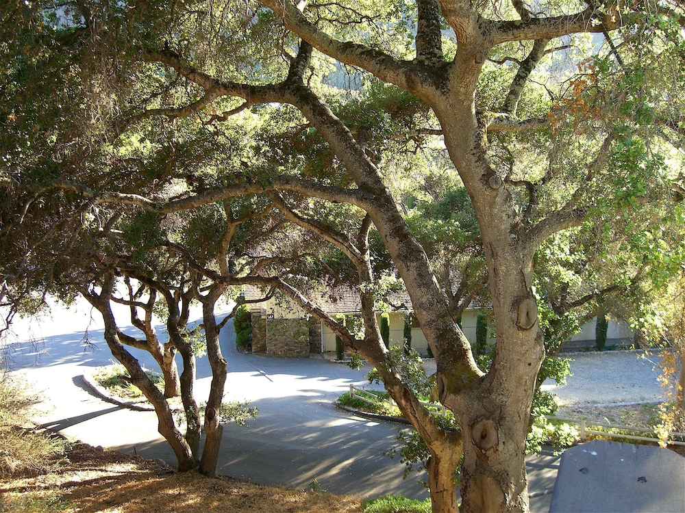 Hidden Valley Inn - photo 52