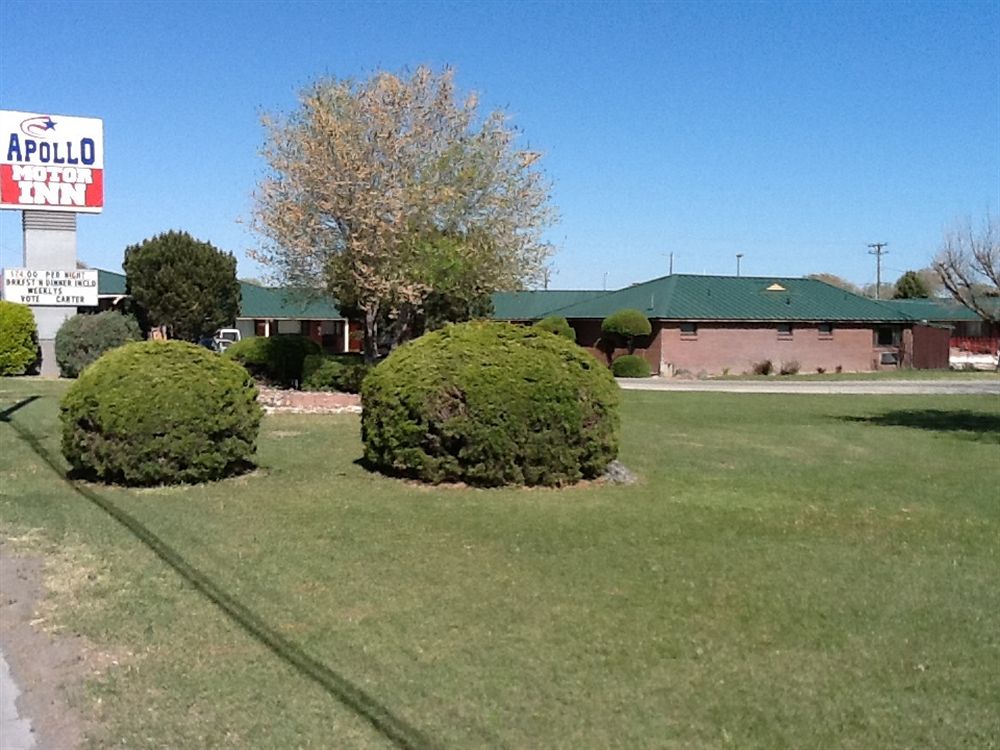 Apollo Motor Inn - photo 21
