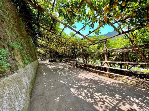 Tenuta Donna Giovanna — 4-Star Luxury Hotel in Maiori, Italy