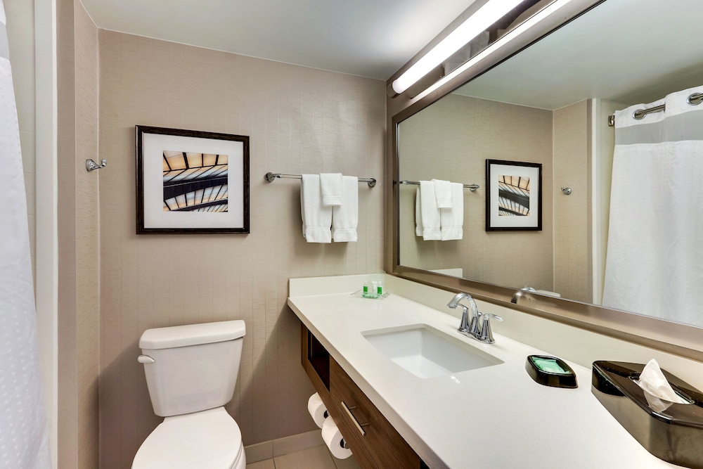 Holiday Inn Franklin Cool Springs by IHG - photo 16