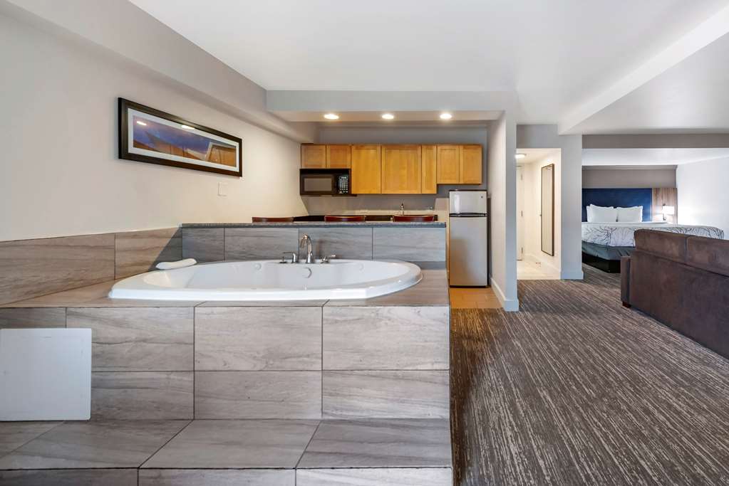 Best Western Premier Denver East - photo 14
