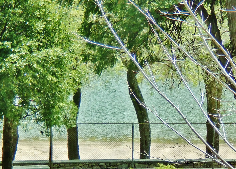 The North Shore Inn - photo 107