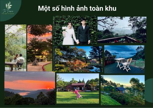 JE T'AIME VILLA Khu nghỉ dưỡng nhà vườn nằm giữa thiên nhiên bao la hoa cỏ — 4-Star Luxury Hotel in Bao Loc, Vietnam