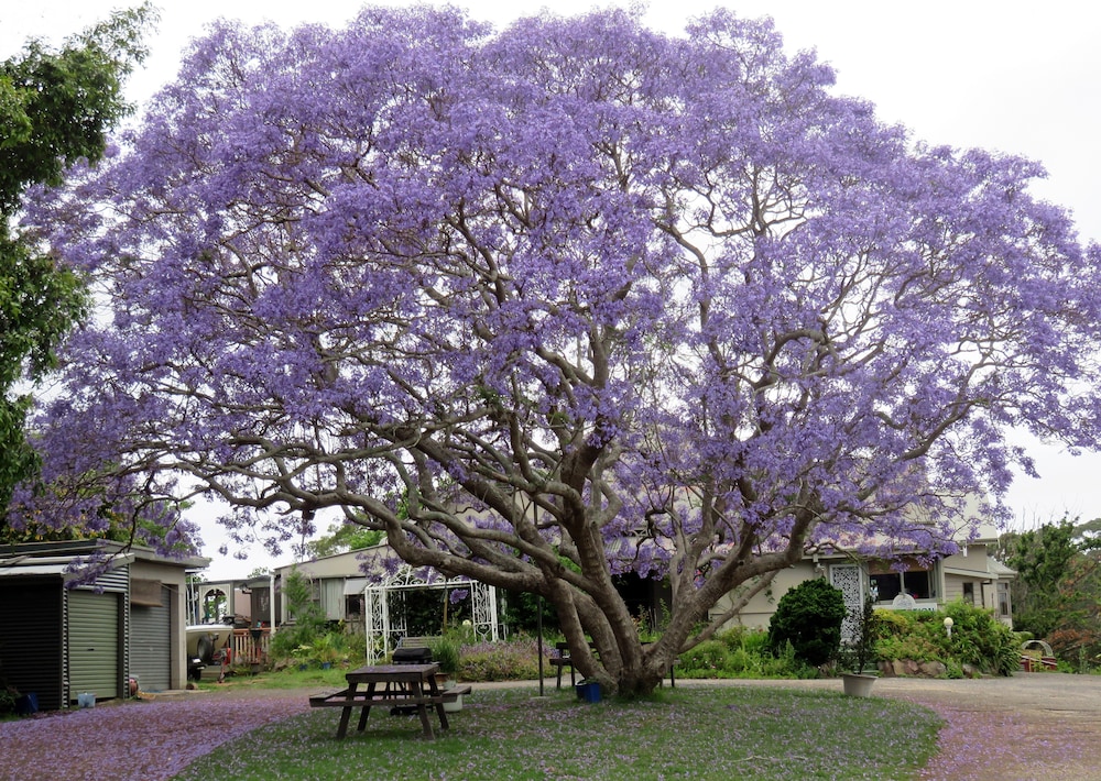 Ecotel Narooma — Narooma