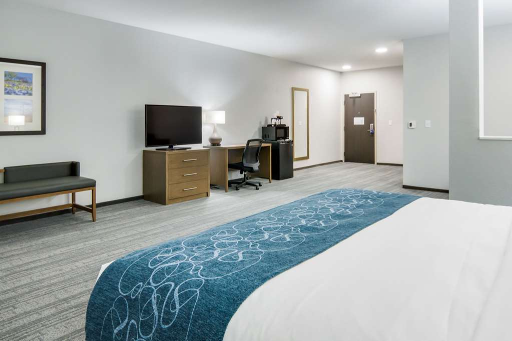 Comfort Suites DeSoto Dallas South - photo 22