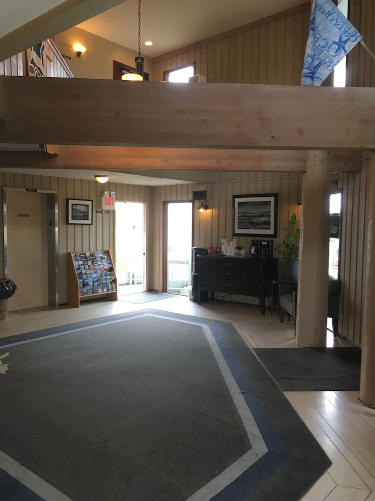 The Grey Gull - photo 4