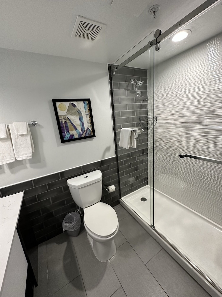 Holiday Inn Express Dallas Downtown - photo 40