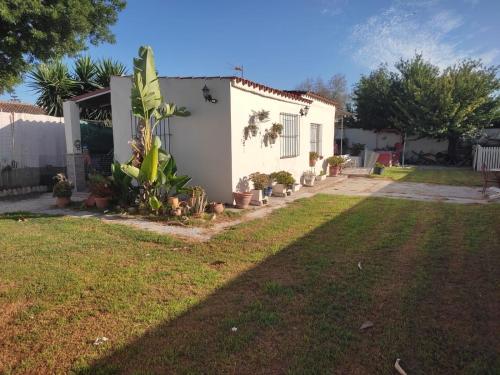 Pinzapo in El Puerto De Santa Maria, Spain