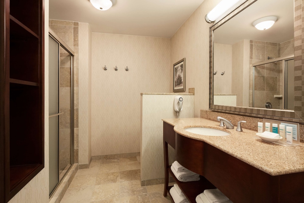 Hampton Inn & Suites Washington Dulles International Airport - photo 20