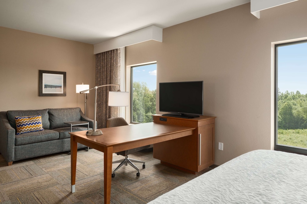 Hampton Inn & Suites Lavonia - photo 18