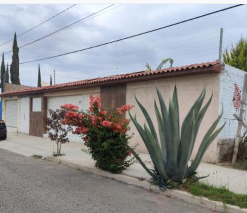 Suites Pozos Mágico — hotel in San Luis De La Paz