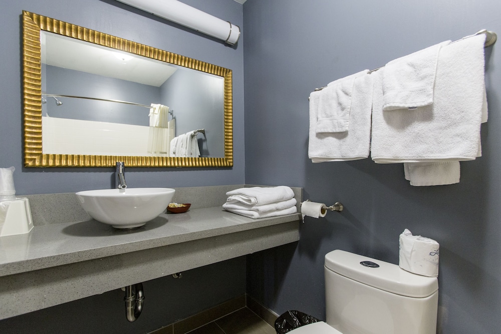 Hollywood Palms Inn and Suites - photo 59