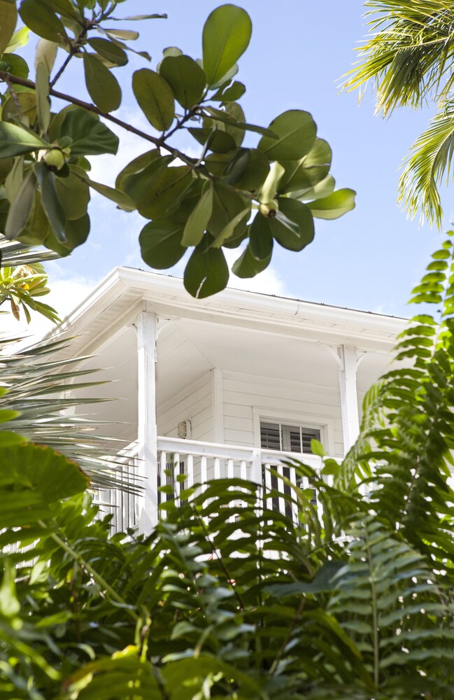 Paradise Inn Key West Adults Only - photo 22