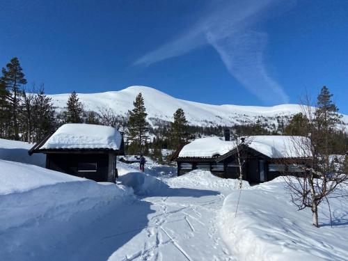 Hito cabin between Flå and Eggedal — 4-Star Luxury Hotel in Fla, Norway