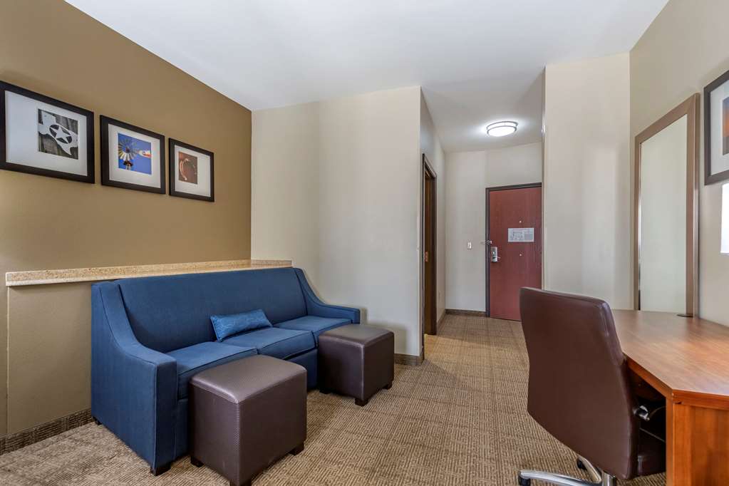 Comfort Suites Buda Austin South - photo 7
