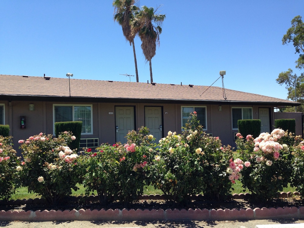 Maple Inn & Suites - photo 32