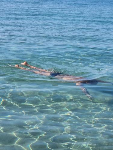 La casina di Adina in Porto Azzurro, Italy
