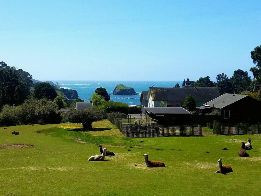 SCP Mendocino Inn and Farm - photo 80