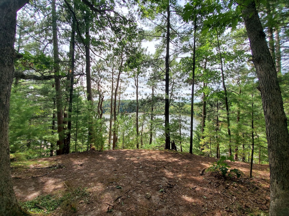Birchcliff Resort - photo 125