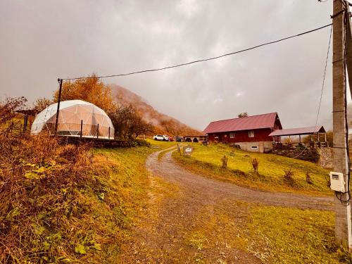 Mountain Glamping Chirdili in Unknown City, Georgia