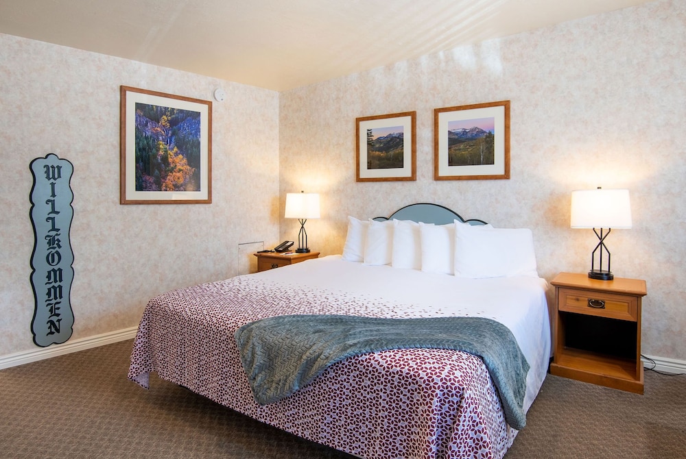 Swiss Alps Inn - photo 17