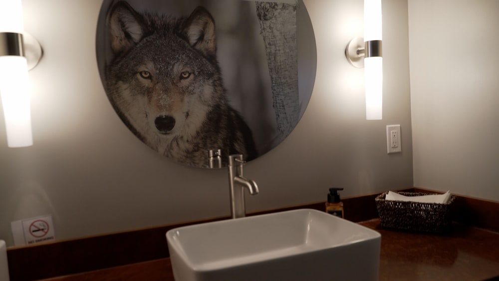 Dreamcatcher Tipi Hotel - photo 15