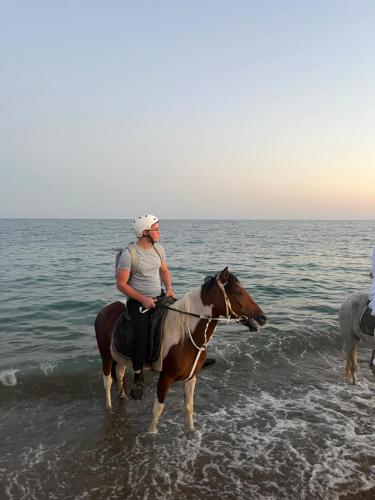 Rodeo Horse Club — Altinkum