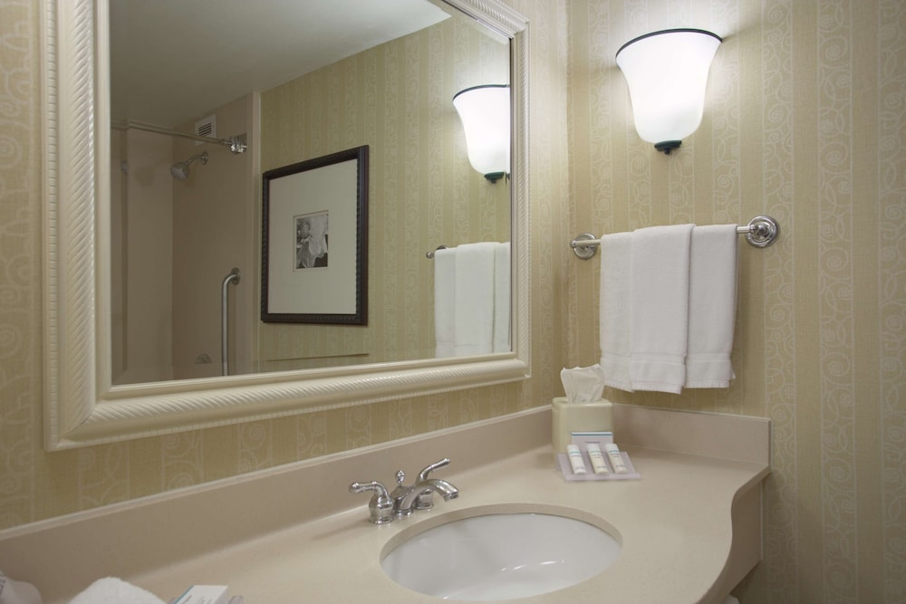 Hilton Garden Inn San Francisco Arpt North - photo 26