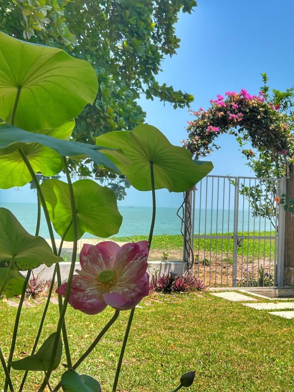 Smell rose beach garden — 5-Star Luxury Hotel in Batu Feringgi, Malaysia