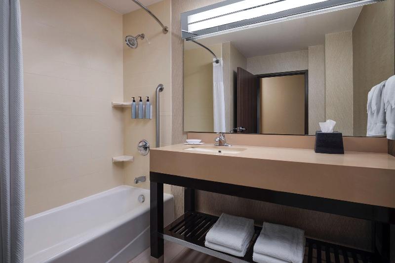 Courtyard by Marriott Dallas DFW Airport North Grapevine - photo 30