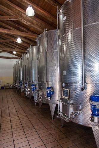 Cascina Arcangelo Raffaele — Verduno — photo 5