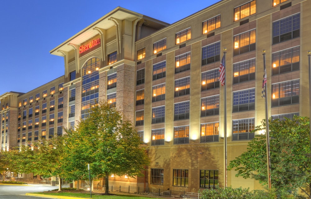 Sheraton Baltimore Washington Airport Hotel BWI - photo 49